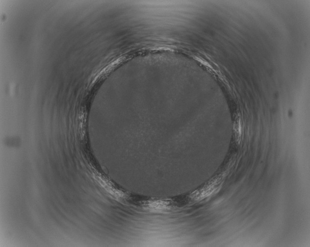 X0000087670462200705181709