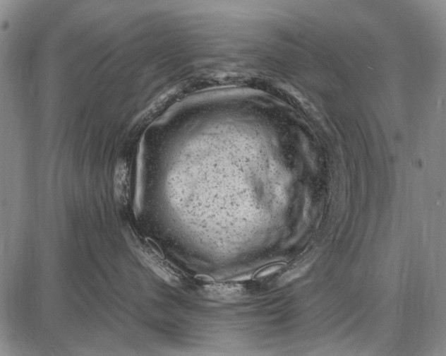 X0000087670480200705181709