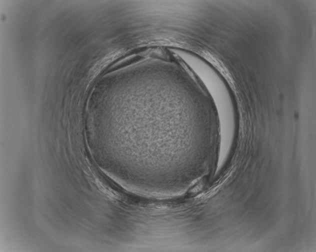 X0000087670481200705181708