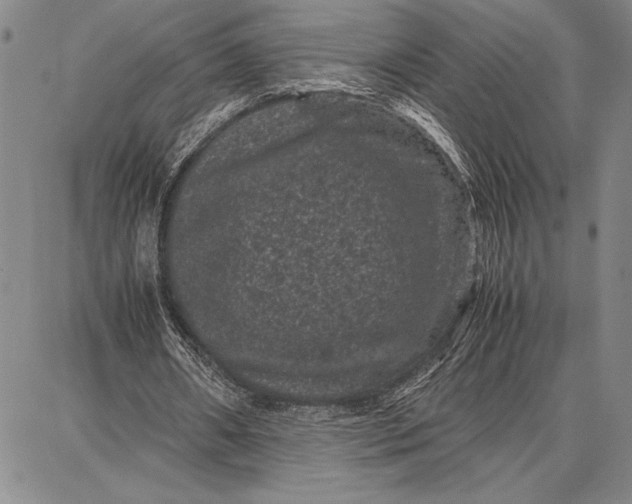 X0000087670482200705181708