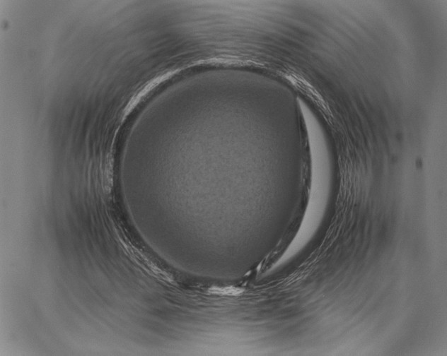 X0000087670484200705181708