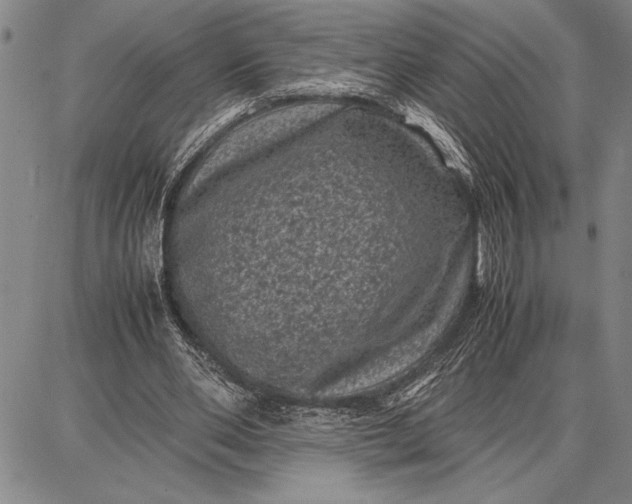 X0000087670486200705181708