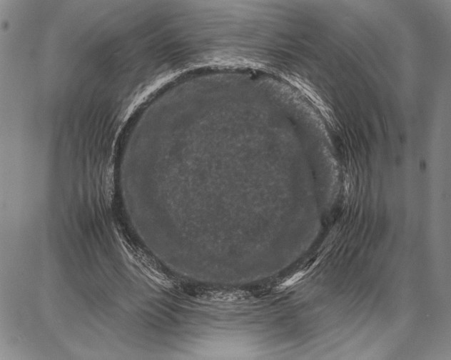 X0000087670488200705181708