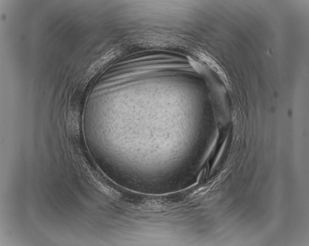 X0000087670489200705181708