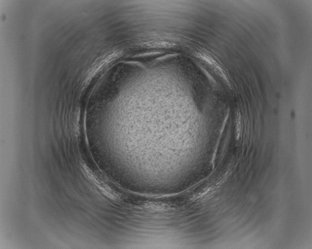 X0000087670490200705181708