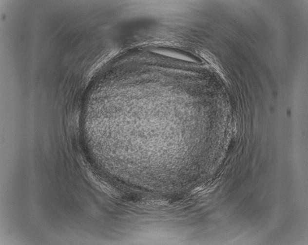 X0000087670491200705181708