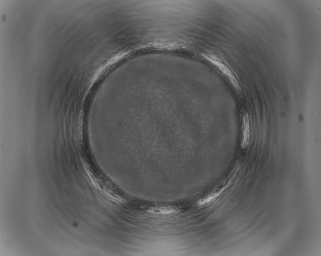 X0000087670492200705181708