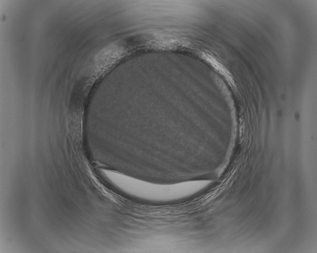 X0000087670493200705181708