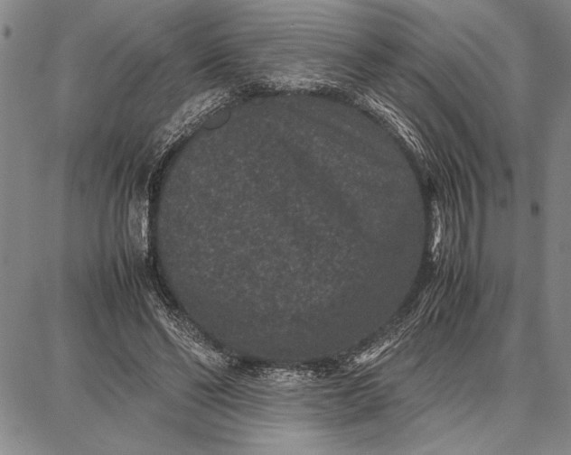 X0000087670494200705181708