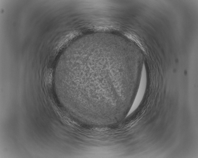 X0000087670495200705181708