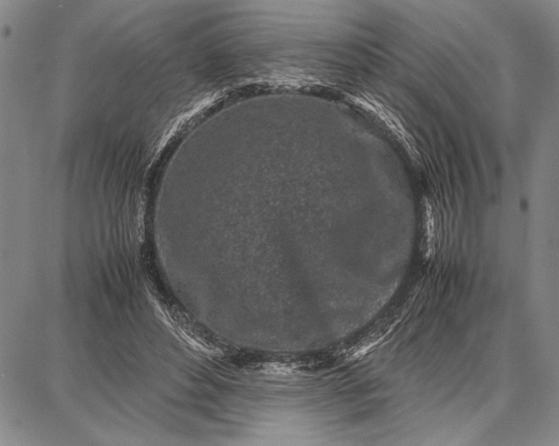 X0000087670496200705181708