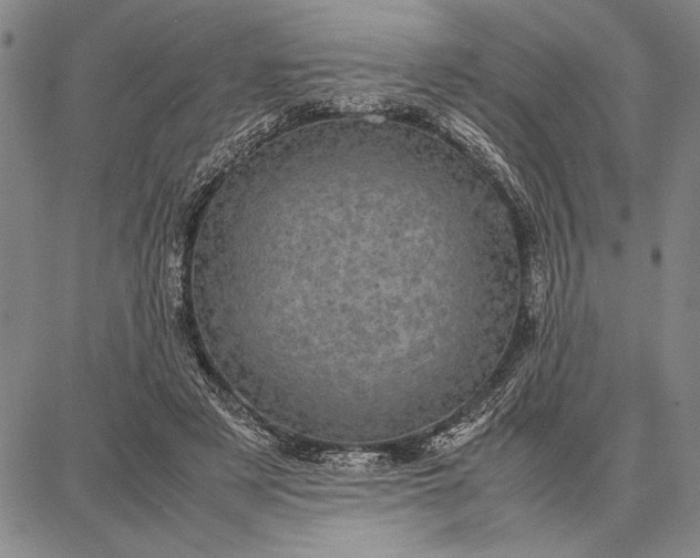 X0000087670497200705181708