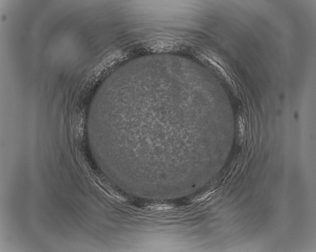 X0000087670499200705181708