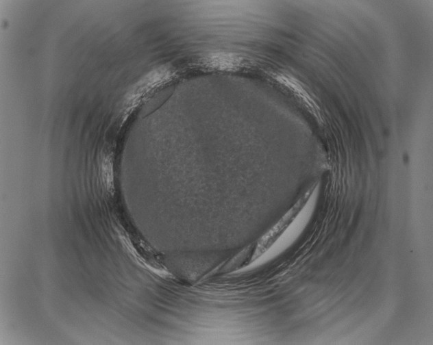 X0000087670500200705181708