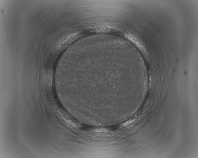 X0000087670501200705181708