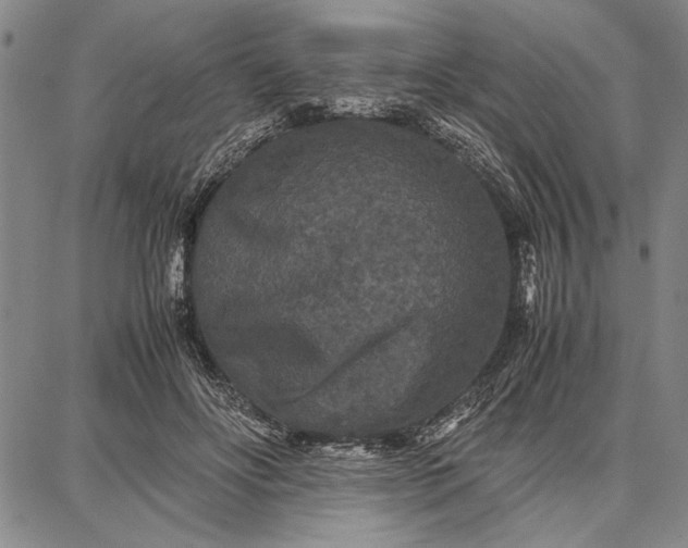 X0000087670502200705181708