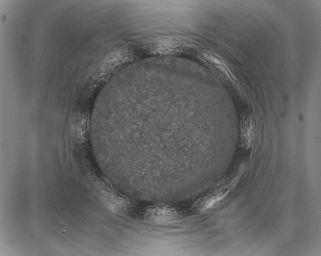 X0000087670503200705181708