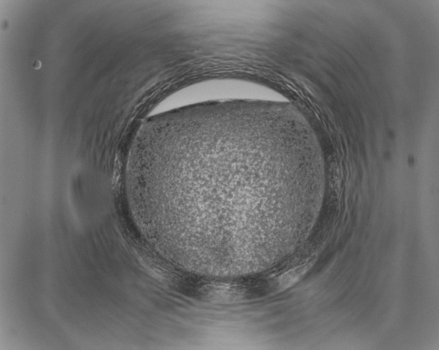 X0000087670507200705181708