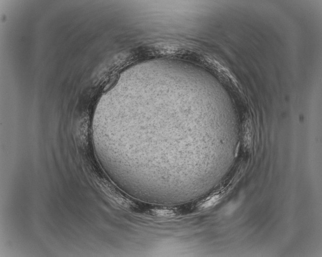 X0000087670509200705181708