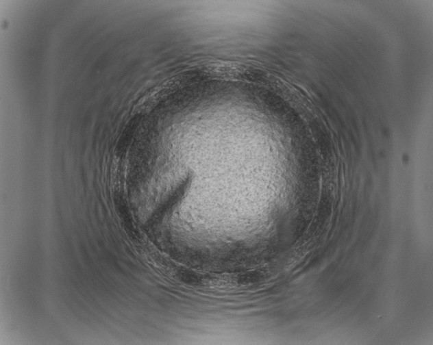 X0000087670511200705181708