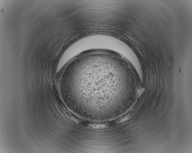 X0000087670512200705181708