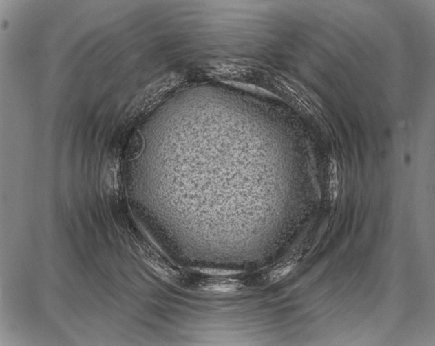 X0000087670514200705181708