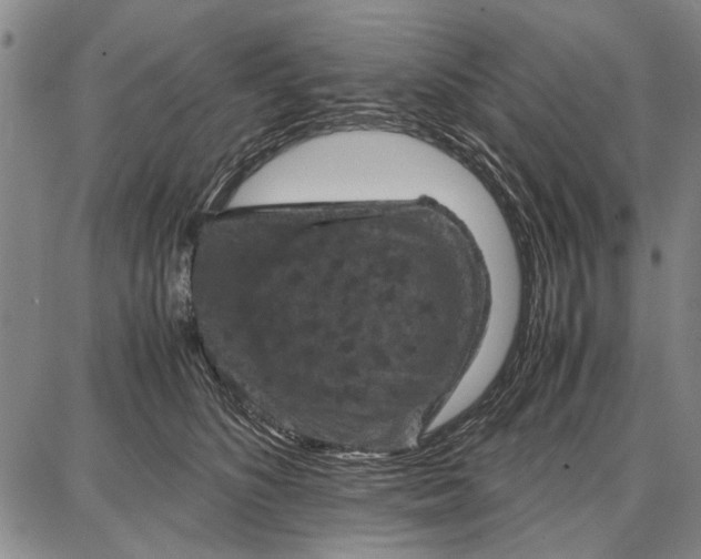 X0000087670516200705181708