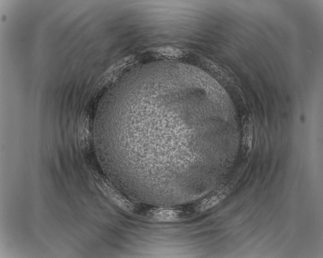 X0000087670518200705181708