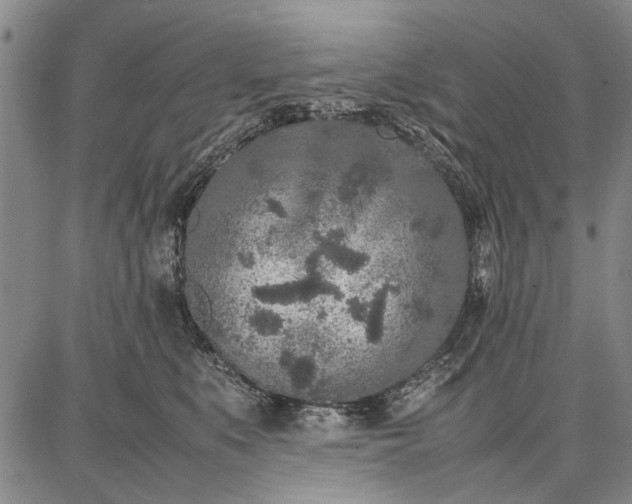 X0000087670519200705181708