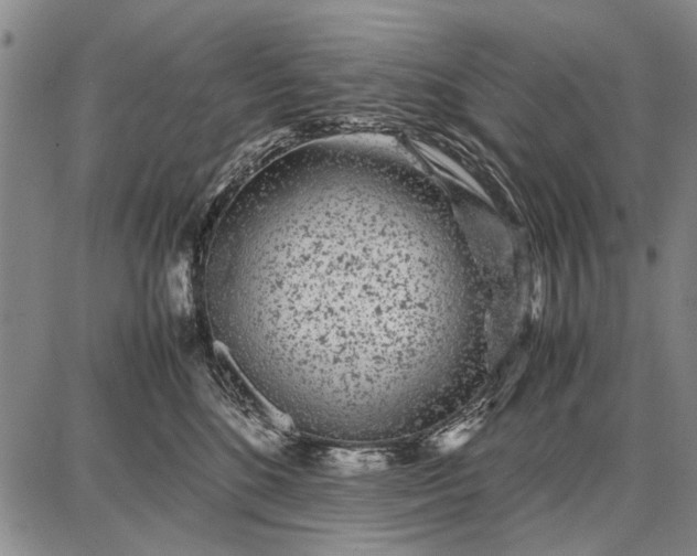 X0000087670520200705181708