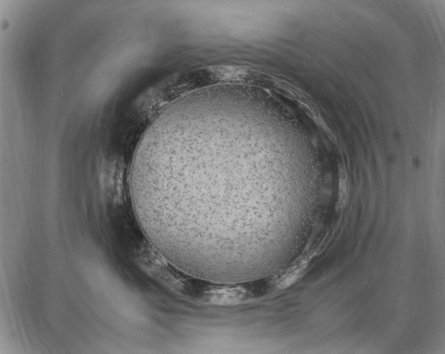 X0000087670525200705181708