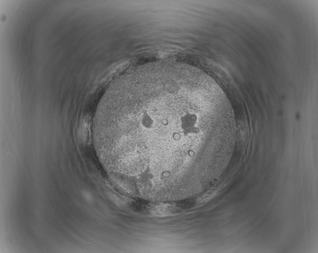 X0000087670527200705181708