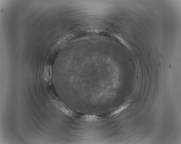 X0000087670528200705181708