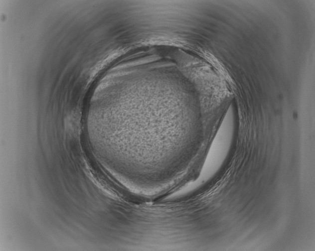 X0000087670530200705181707