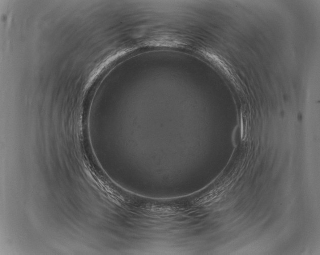 X0000087670531200705181707