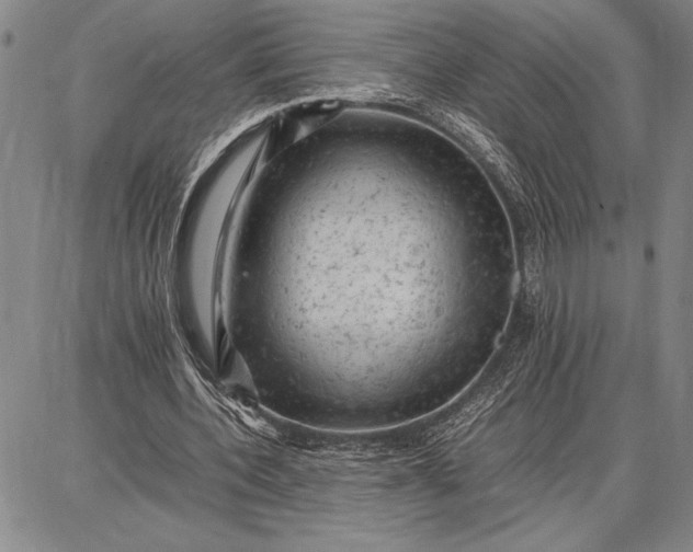 X0000087670532200705181707