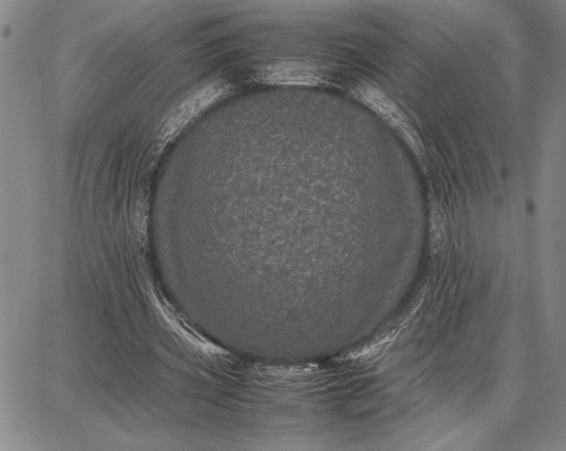 X0000087670533200705181707