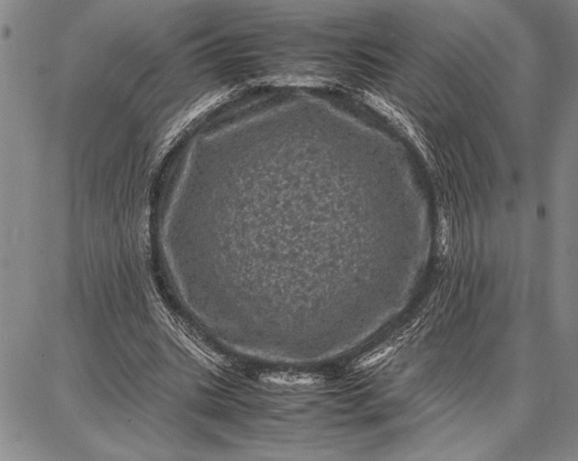 X0000087670535200705181707