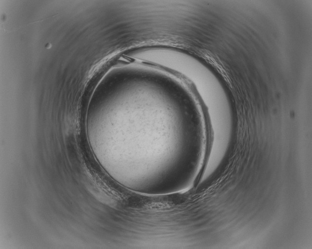 X0000087670536200705181707