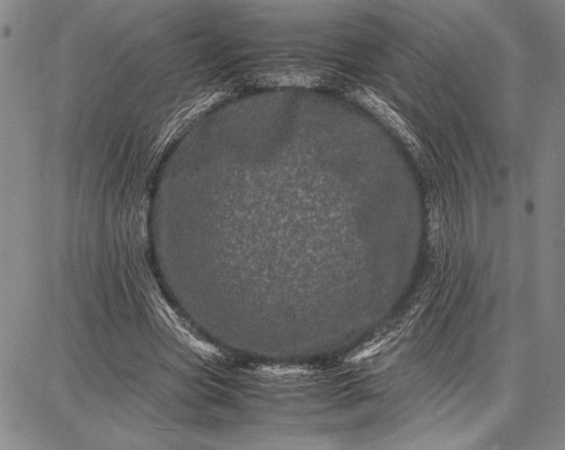 X0000087670537200705181707