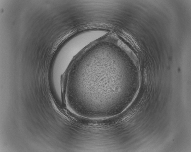 X0000087670538200705181707