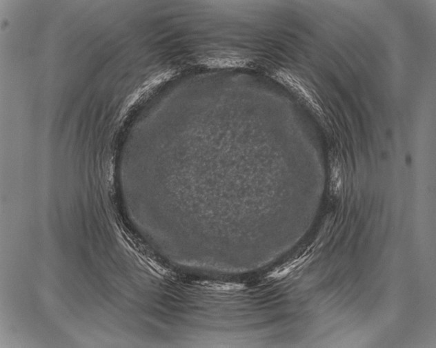 X0000087670539200705181707