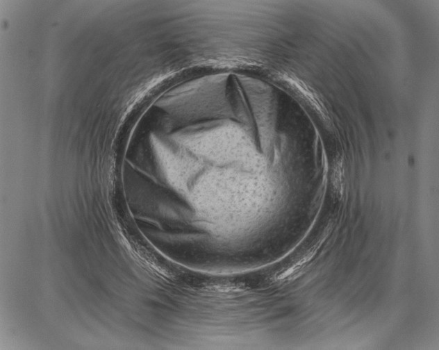 X0000087670540200705181707