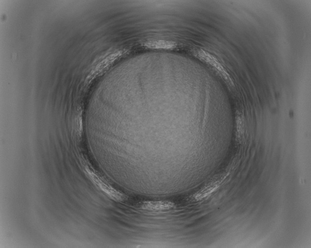 X0000087670541200705181707