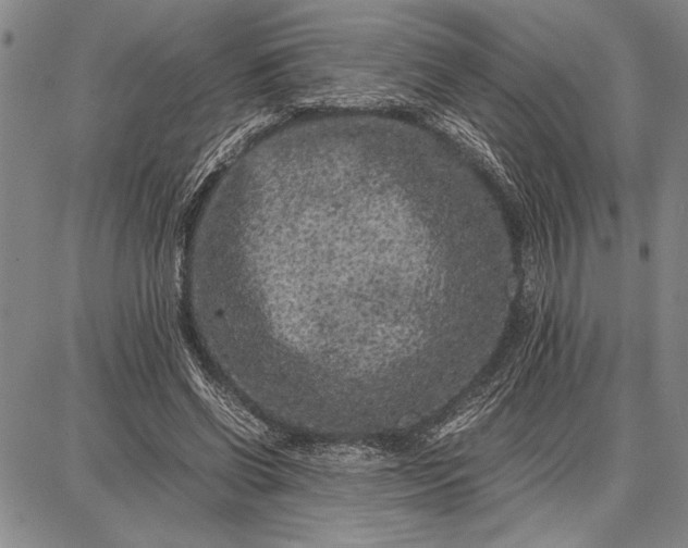 X0000087670542200705181707