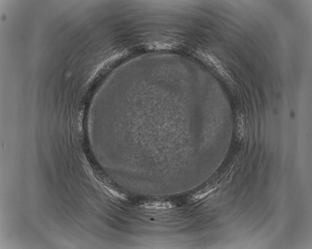 X0000087670543200705181707