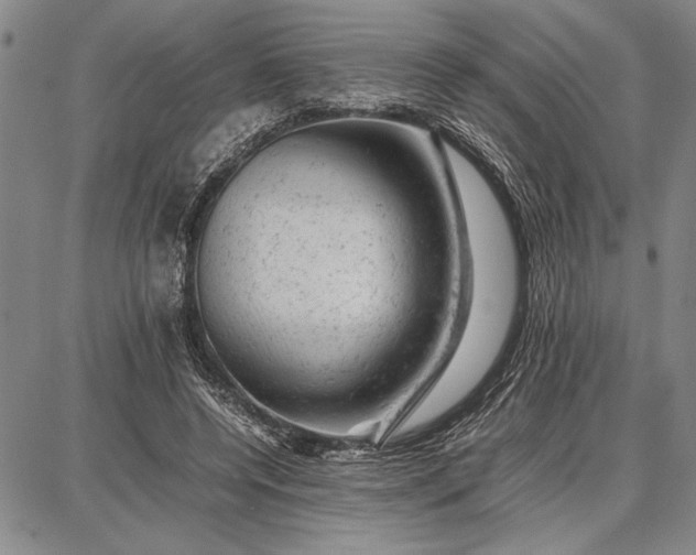 X0000087670544200705181707