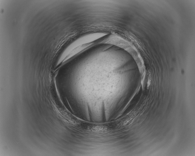 X0000087670546200705181707