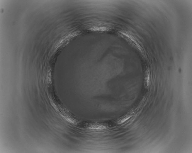 X0000087670547200705181707