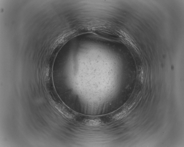 X0000087670548200705181707